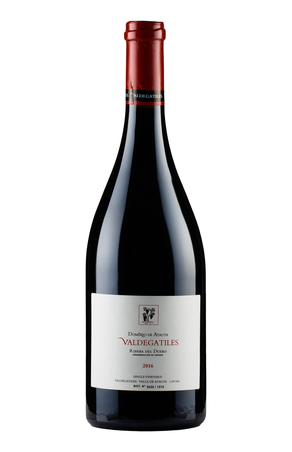 Valdegatiles Dominio de Atauta 2016