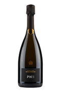 Bollinger PN VZ19