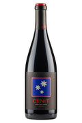 Cenit 2009