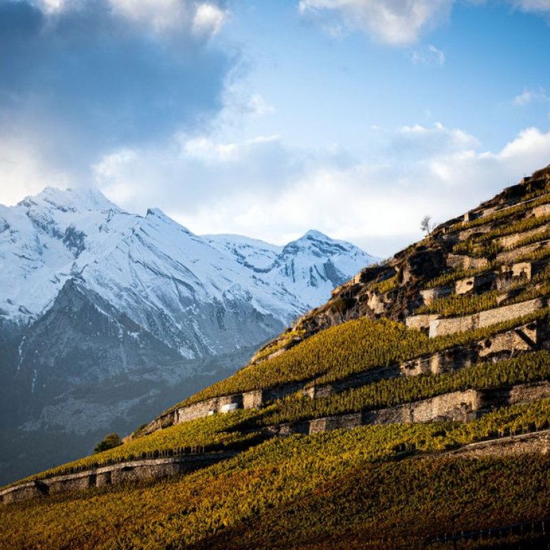 Undiscovered Europe & Beyond