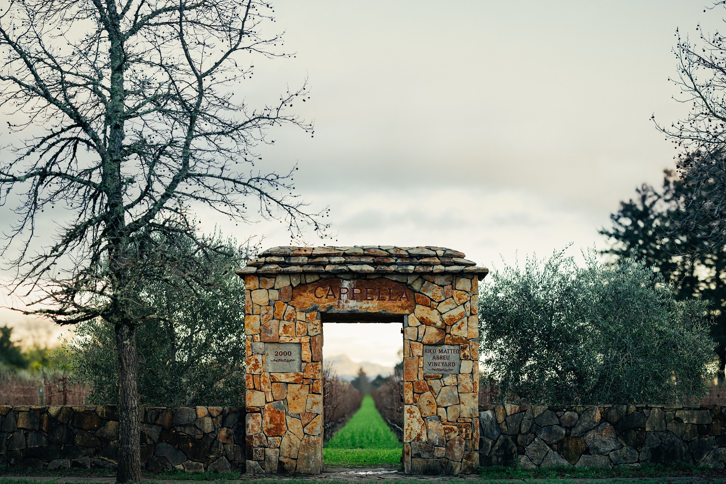One of the stone arches at Abreu Vineyards