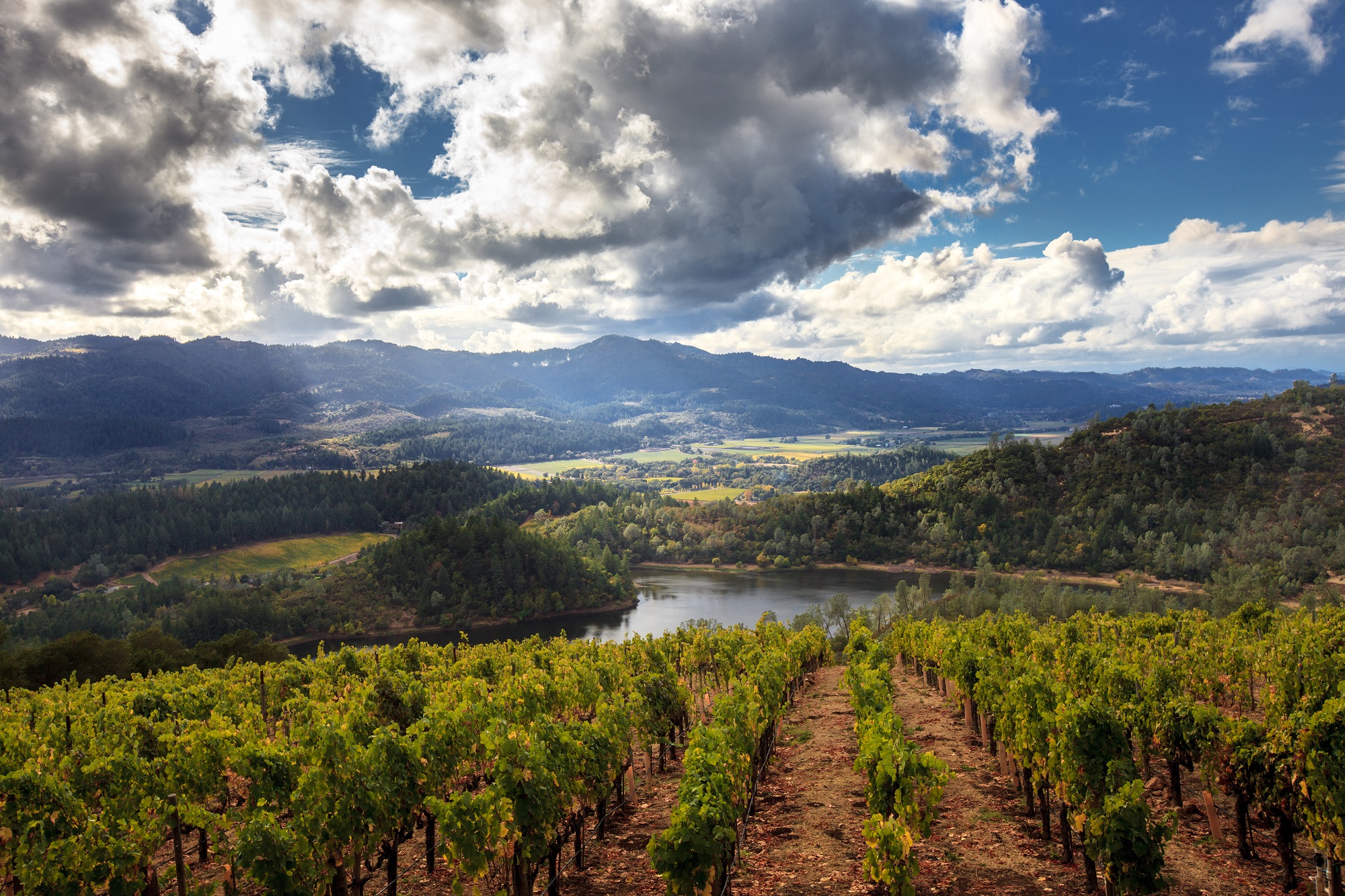 The magnificent terroir of Napa
