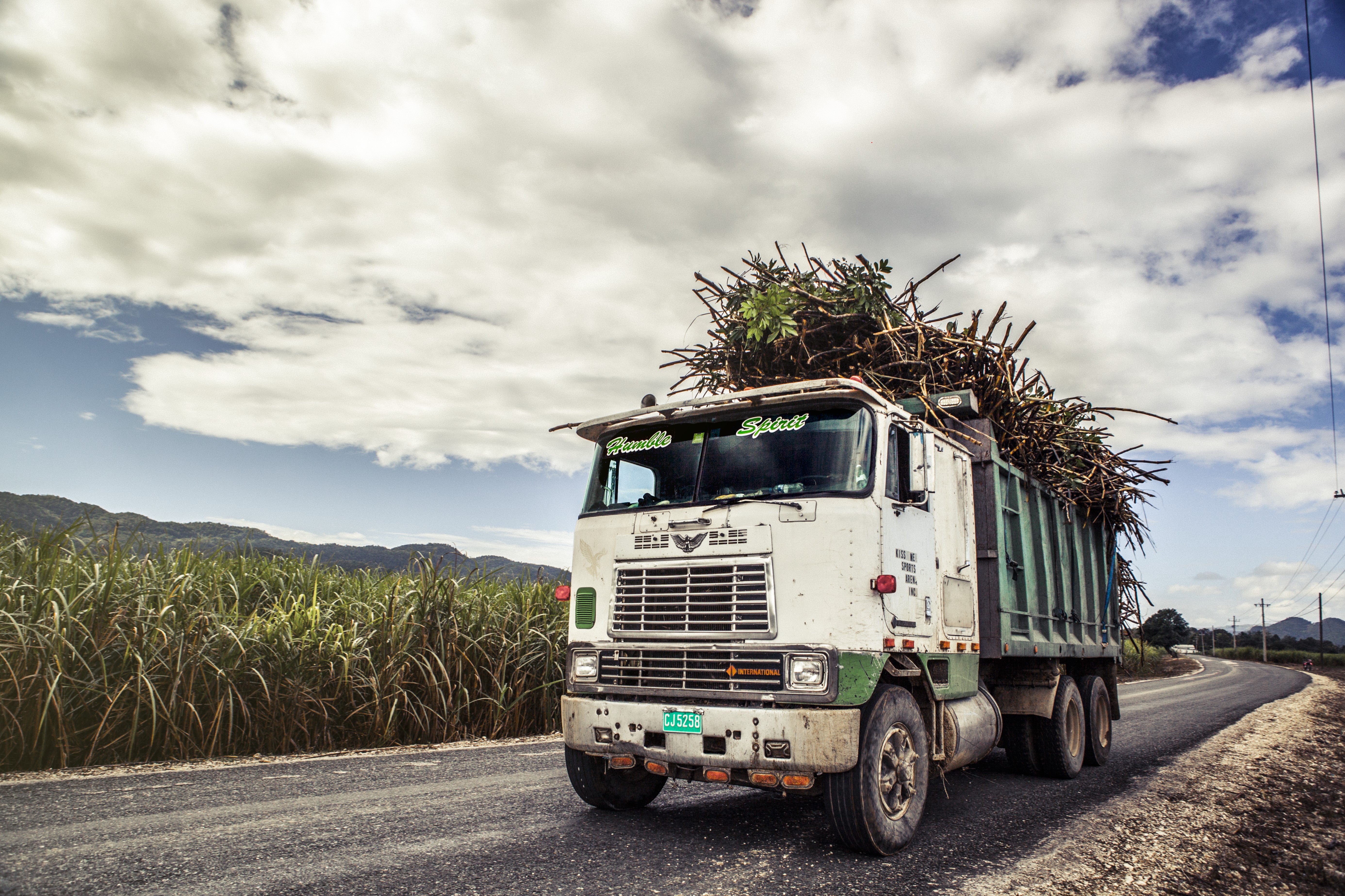 Trucking sugar cane