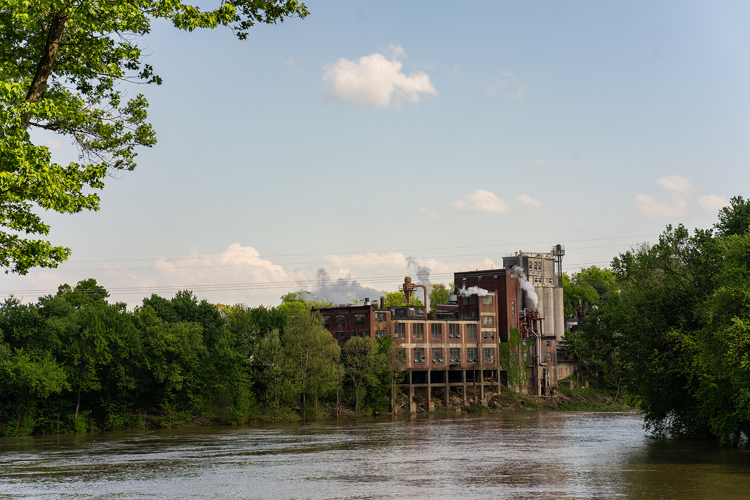 Buffalo Trace from the riverband