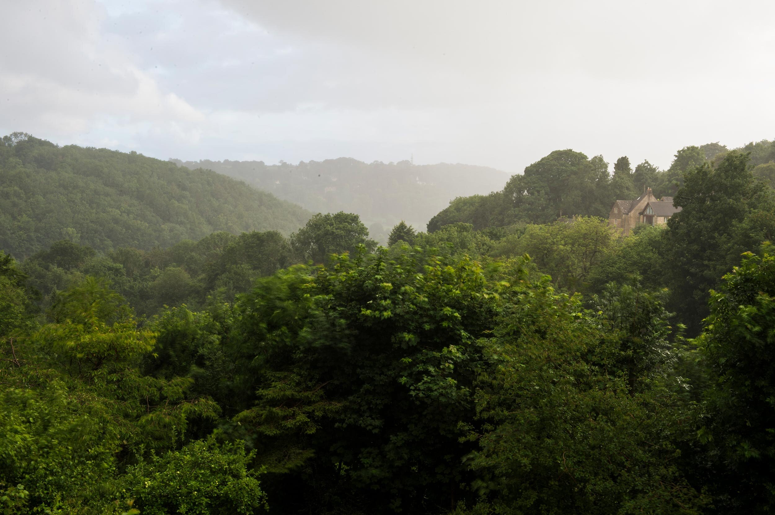 Capreolus is set in the beautiful countryside of the Cotswolds