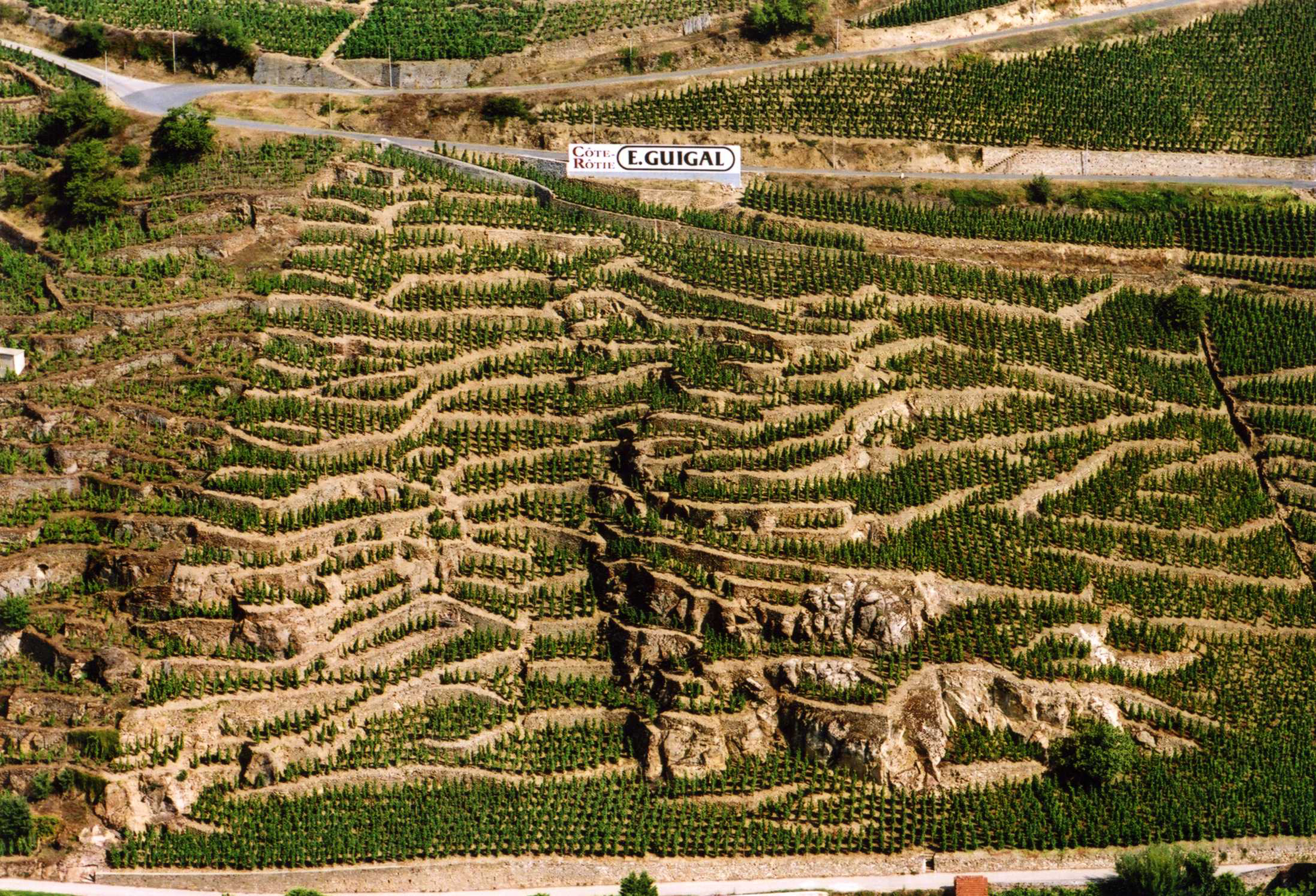 La Mouline vineyard
