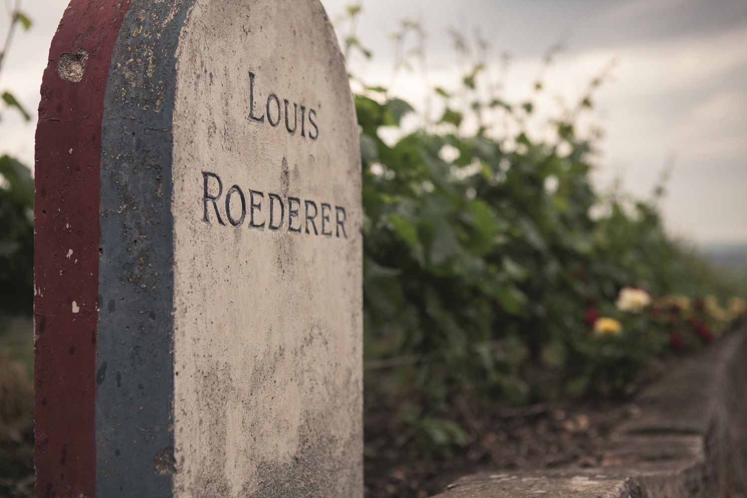 A vineyard marker at Louis Roederer