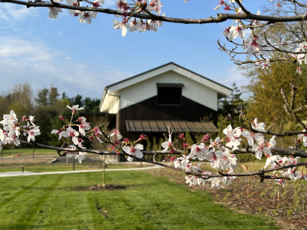 The Dassai Blue brewery in Hyde Park, New York