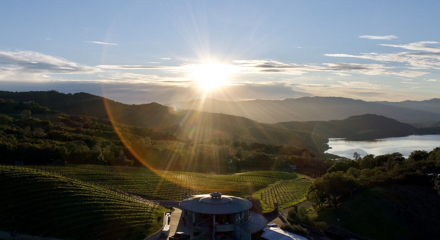 Bryant are famous for producing some of the greatest Cabernet Sauvignon in Napa