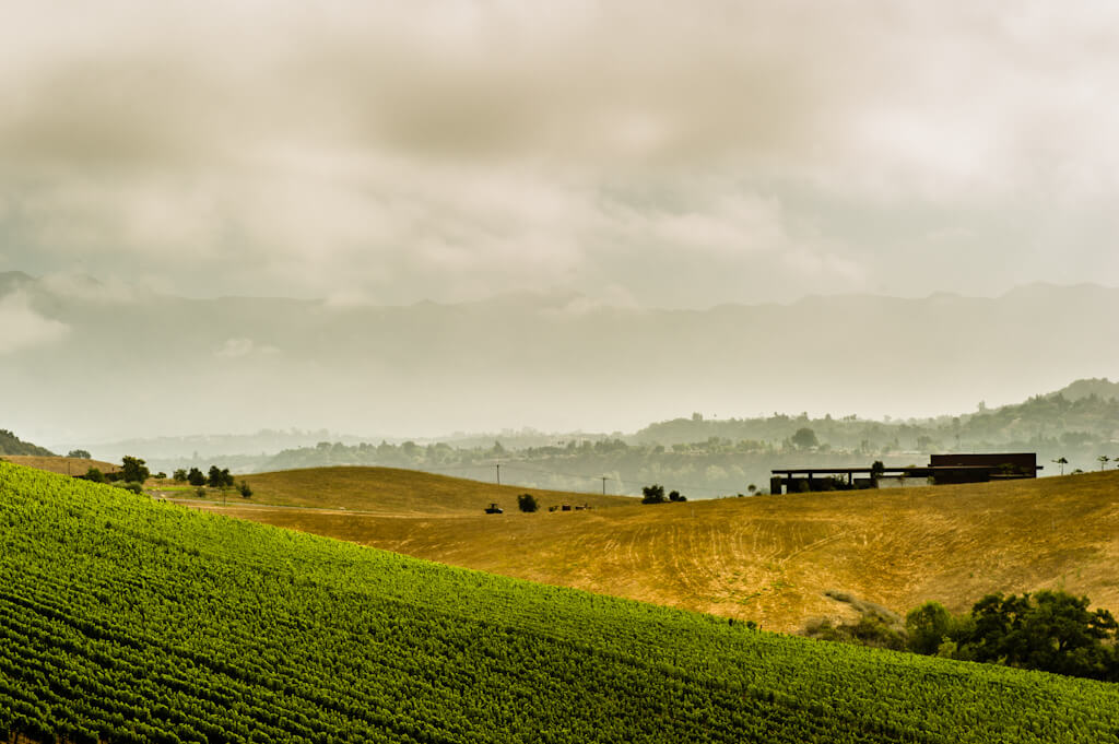 The rolling vineyards of Ventura County