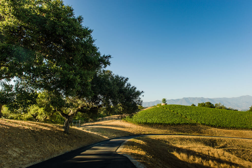 Ventura hillsides