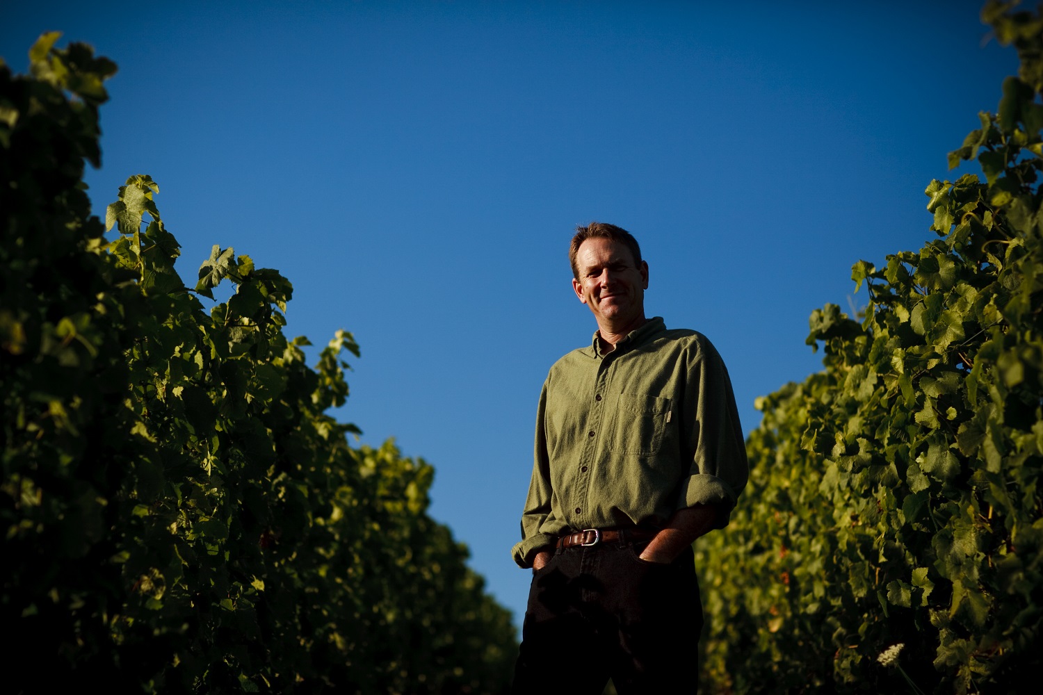 Ted in the vineyard