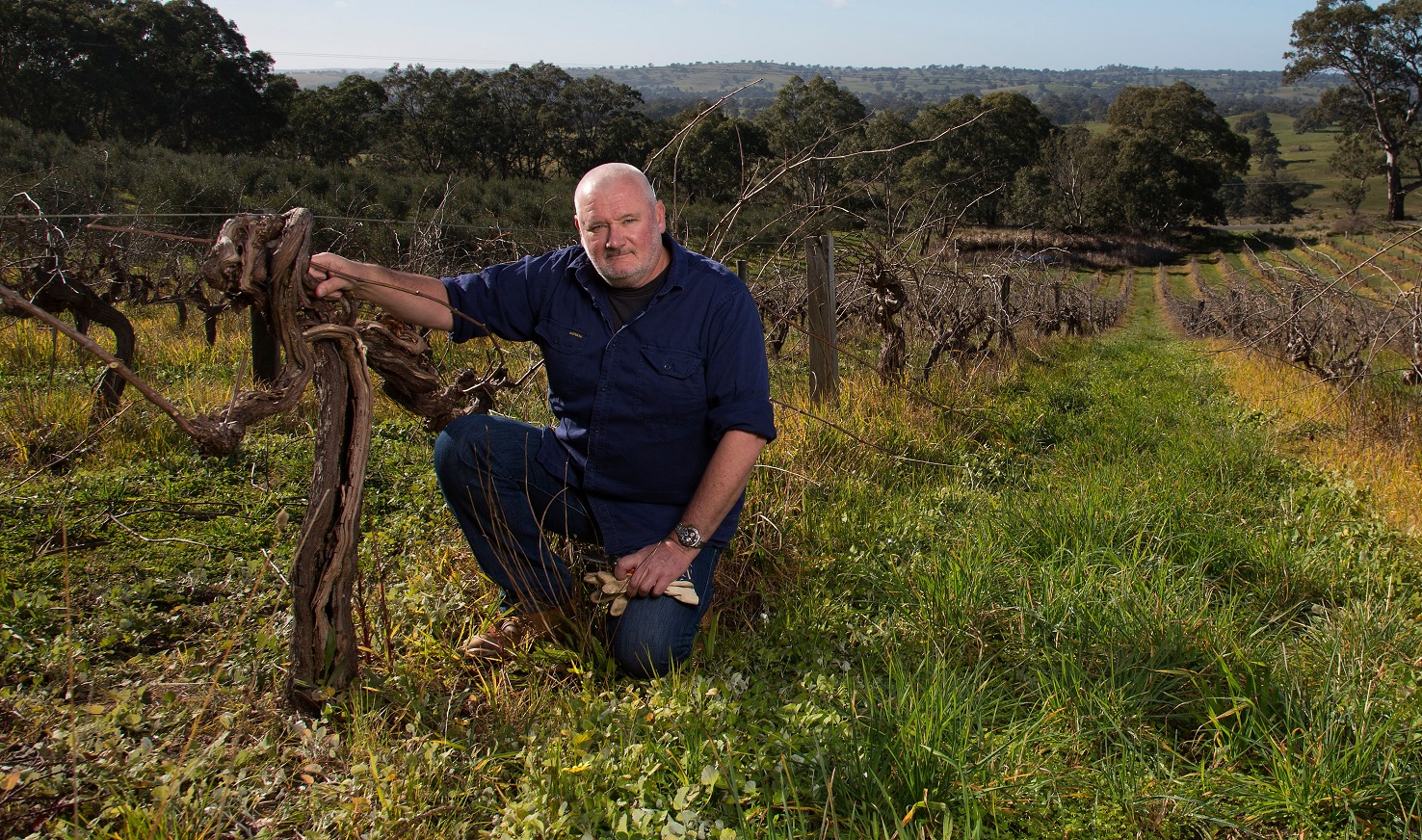 Chris in the vineyard