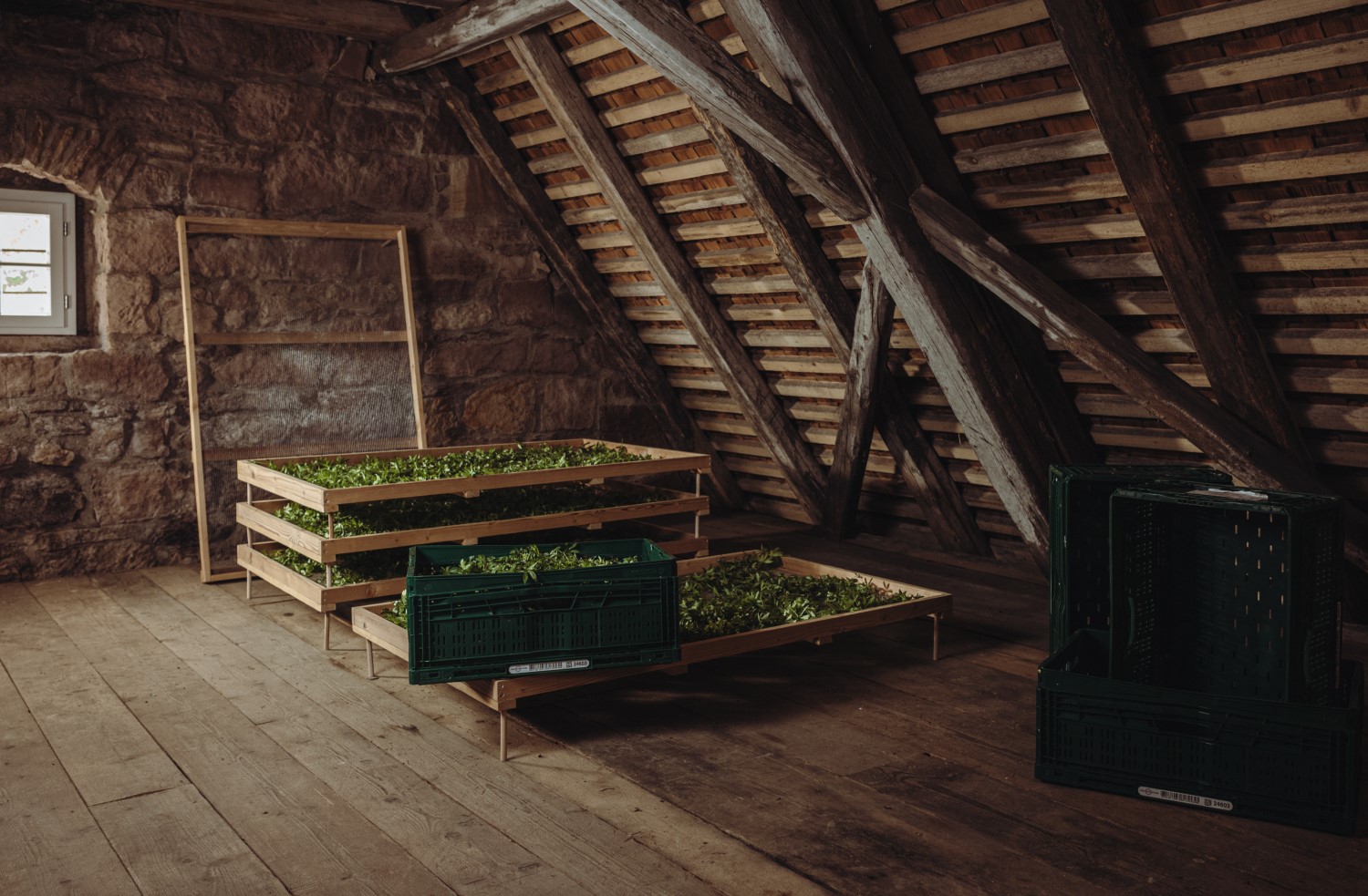 Botanicals drying at Black Forest Distillers
