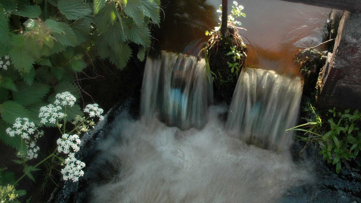 Fettercairn is one of Scotland's most picturesque distilleries