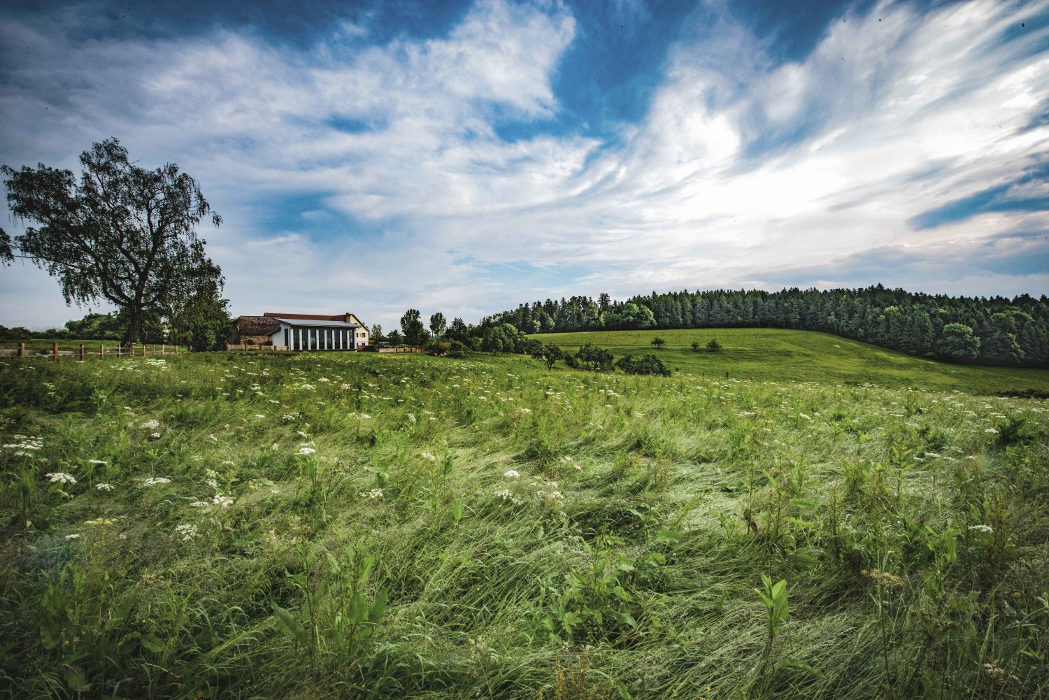 The black forest distillery