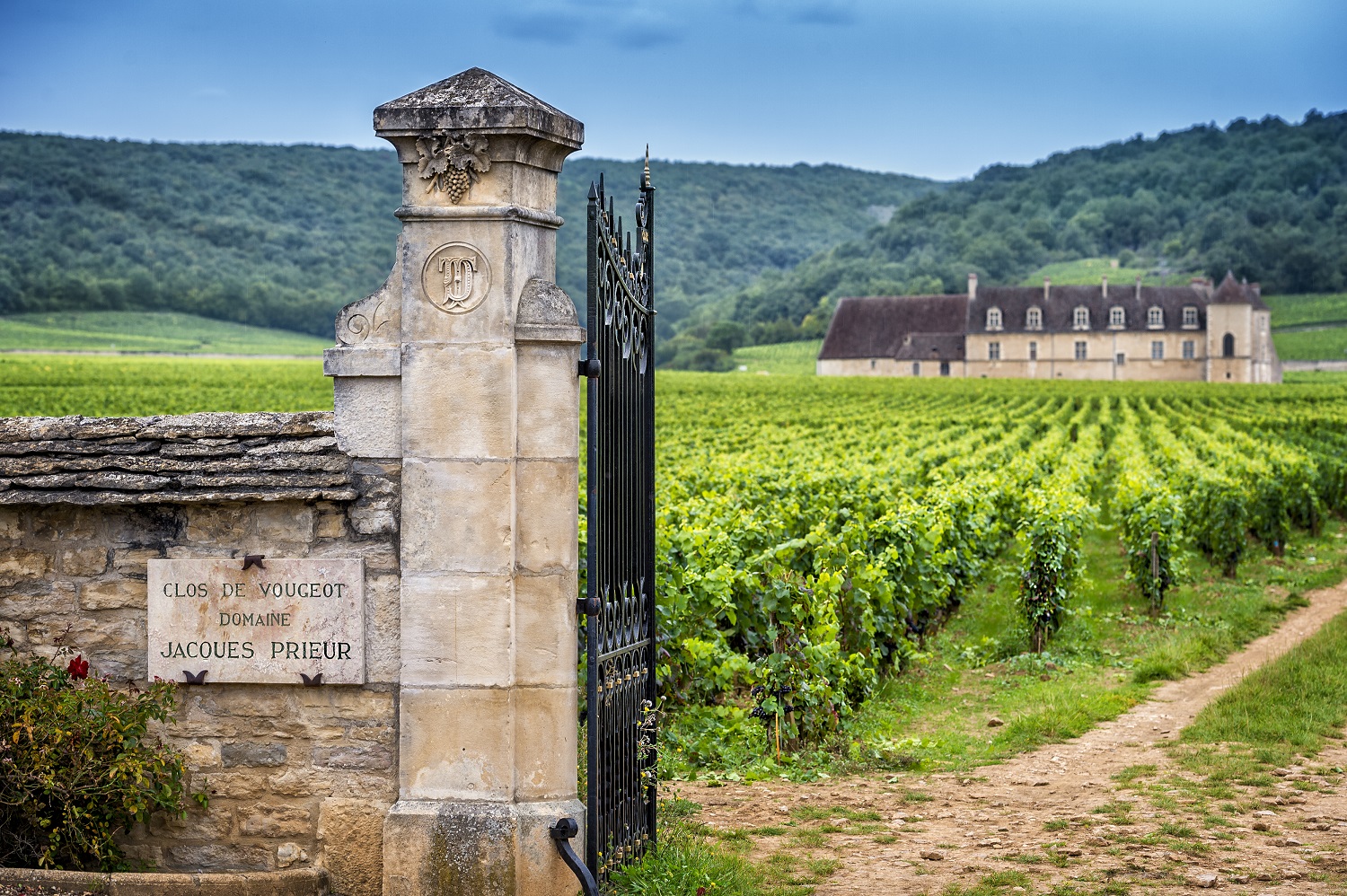 The red and white wines of Burgundy are considered some of the world's greatest Pinot Noir and Chardonnay