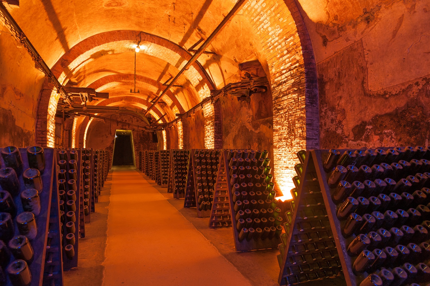 Bottles of Champagne ageing in a cellar