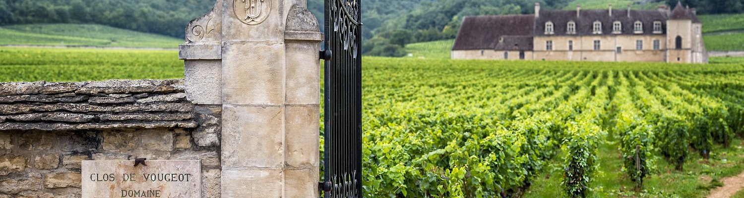 The Pinot Noirs and Chardonnays of Burgundy are among the world's greatest wines