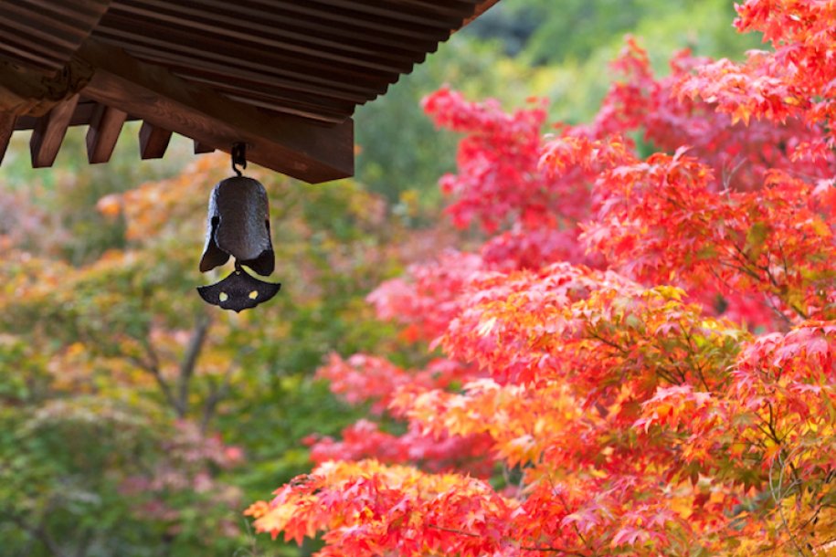 Japanese countryside
