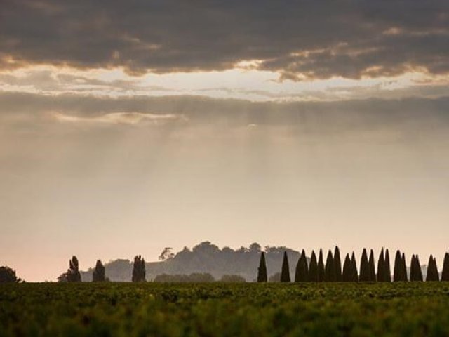 Chateau Trotanoy