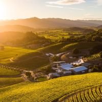 Shafer Vineyards