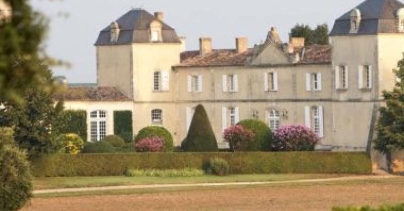 Explore the wines of Château Calon Segur | Hedonism Wines