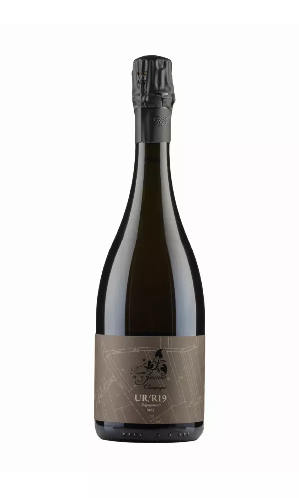 Cedric Bouchard Les Ursules Roses de Jeanne Cedric Bouchard Les Ursules Roses de Jeanne