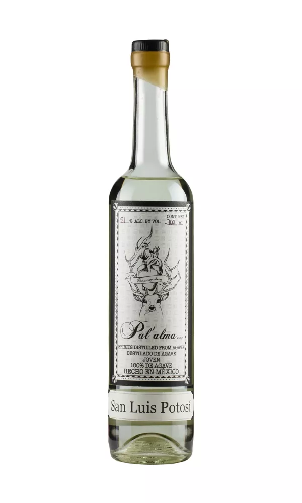 Pal`alma Salmiana Verde San Luis Potosi Pal`alma Salmiana Verde San Luis Potosi