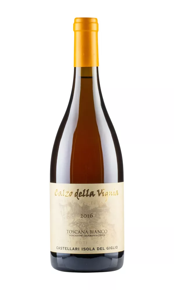 Calzo della Vigna Castellari Isola del Giglio Calzo della Vigna Castellari Isola del Giglio