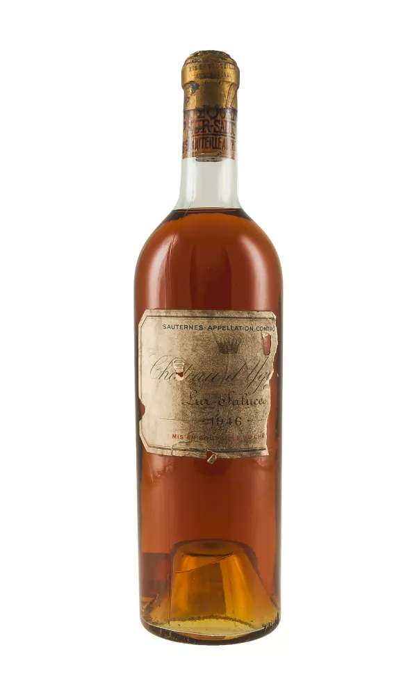 Yquem Yquem
