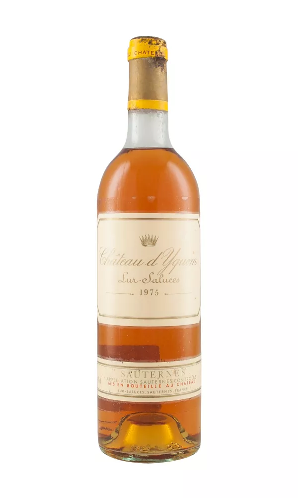 食品・日用品 半額ストア Yquem 1975 | Hedonism Wines ワイン