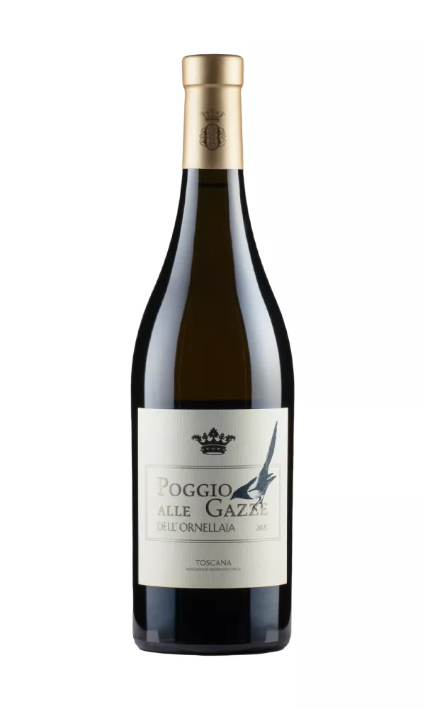 Poggio Alle Gazze Poggio Alle Gazze