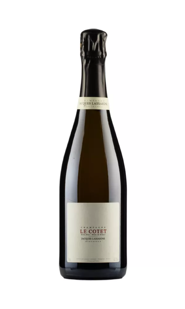 Jacques Lassaigne Le Cotet Jacques Lassaigne Le Cotet