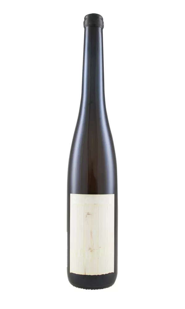 Sine Qua Non Albino Sine Qua Non Albino