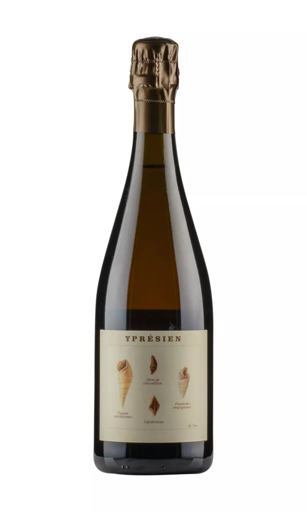 Ypresien Legrand Latour Ypresien Legrand Latour