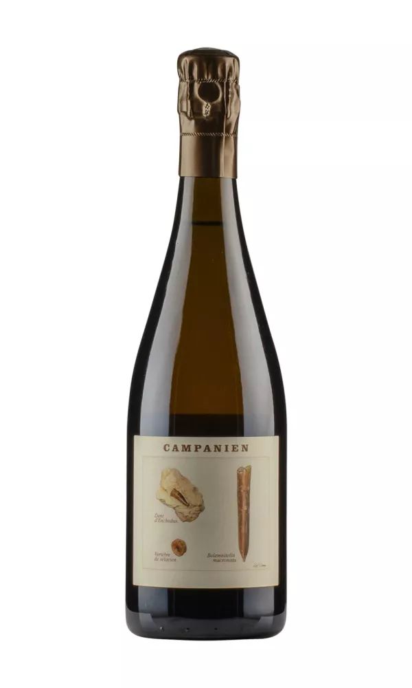 Campanien Legrand Latour Campanien Legrand Latour
