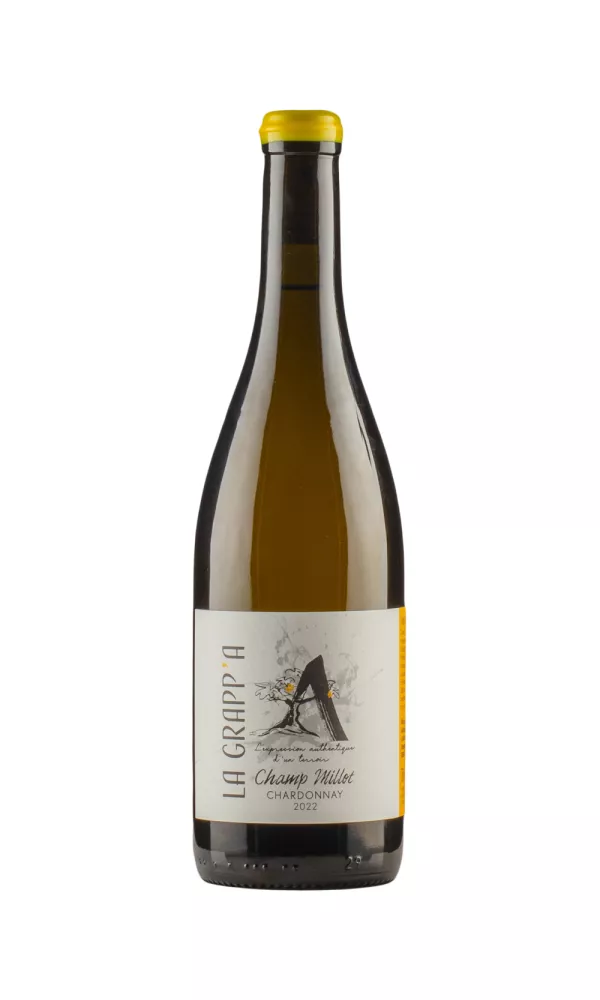 Chardonnay Champ Millot Domaine la Grapp`A Chardonnay Champ Millot Domaine la Grapp`A