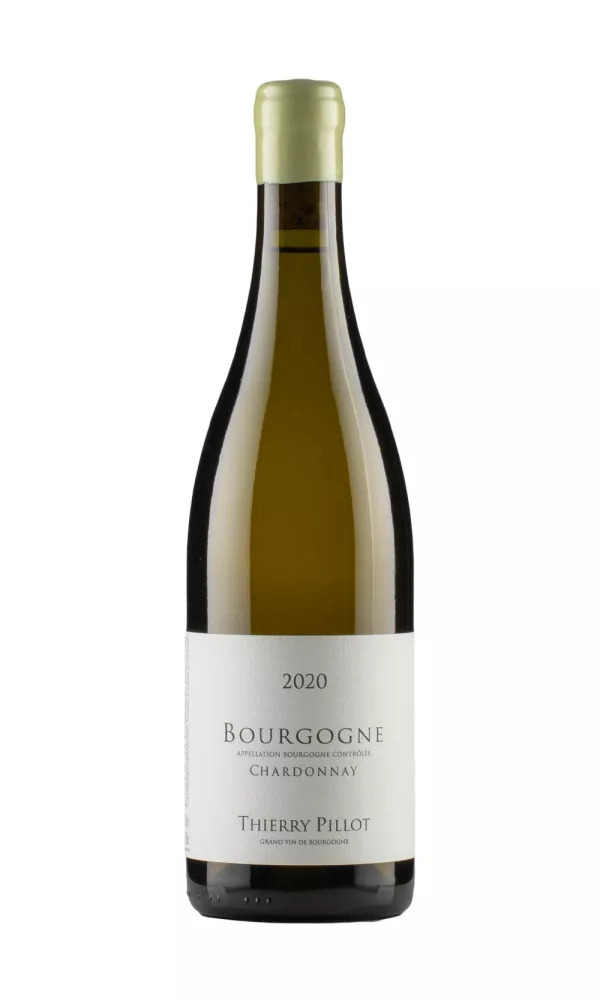 Bourgogne Chardonnay Thierry Pillot Bourgogne Chardonnay Thierry Pillot