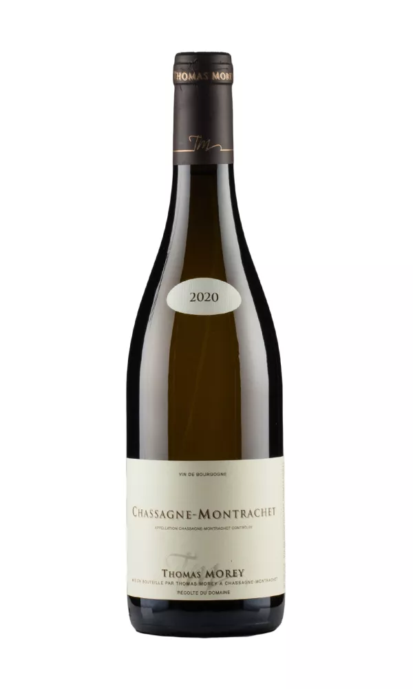 Chassagne Montrachet Thomas Morey Chassagne Montrachet Thomas Morey