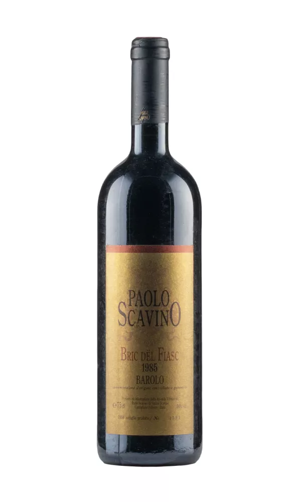 Barolo Bric del Fiasc Paolo Scavino Barolo Bric del Fiasc Paolo Scavino