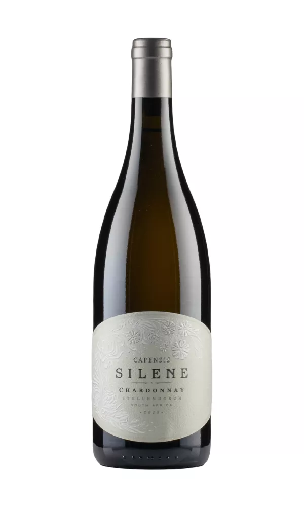 Capensis Silene Chardonnay Capensis Silene Chardonnay