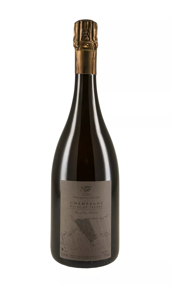 Cedric Bouchard Les Ursules Roses de Jeanne Cedric Bouchard Les Ursules Roses de Jeanne