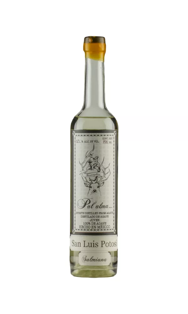 Pal`alma Salmiana Ancestral San Luis Potosi Pal`alma Salmiana Ancestral San Luis Potosi