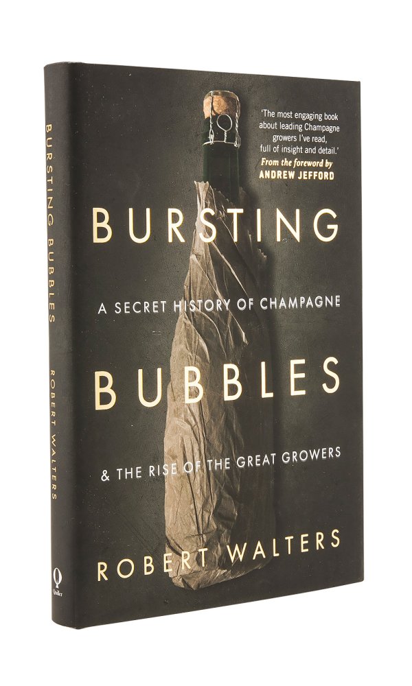 Bursting Bubbles - Robert Walters