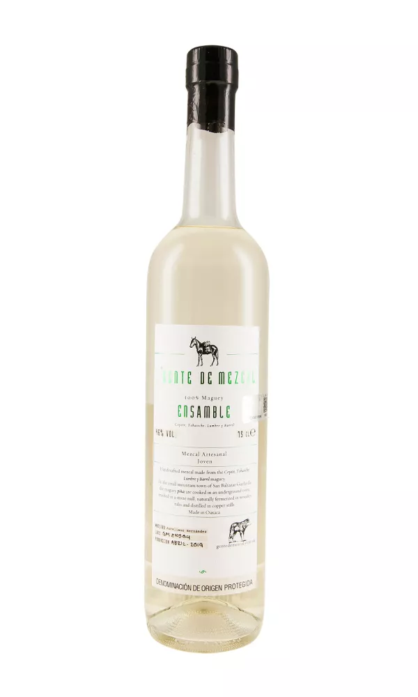 Gente de Mezcal Ensamble Gente de Mezcal Ensamble