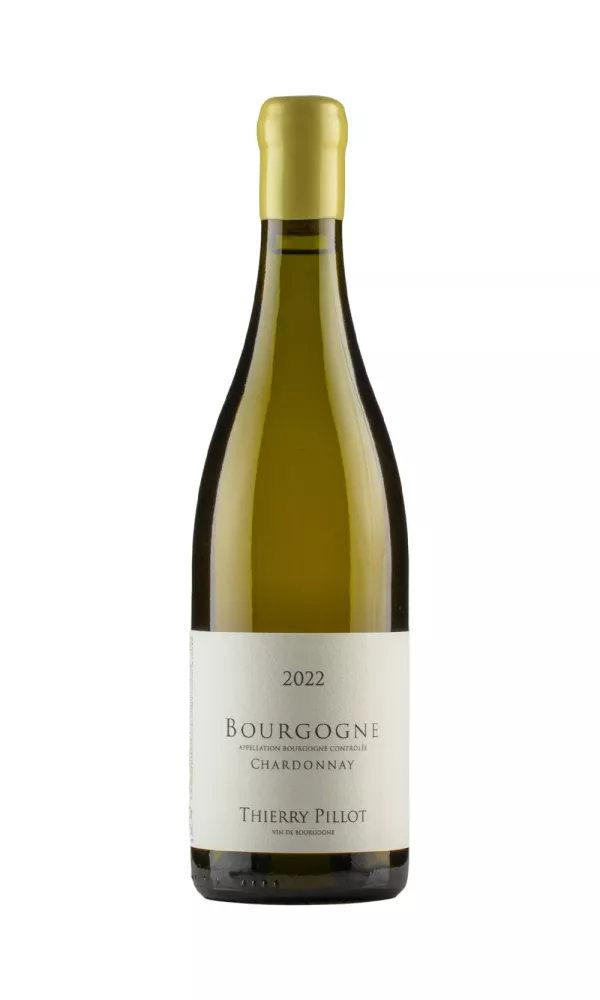 Bourgogne Chardonnay Thierry Pillot Bourgogne Chardonnay Thierry Pillot