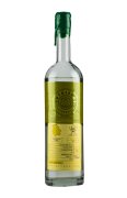 Sotoleros Lupe Ensemble Lechuguilla Lot 6