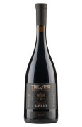 Tbilvino Saperavi