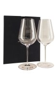 Richard Brendon X Jancis Robinson Wine Glass - Two Pack